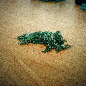 In the house 