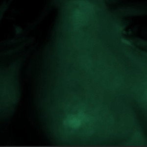 Dark XB ( please trust me )