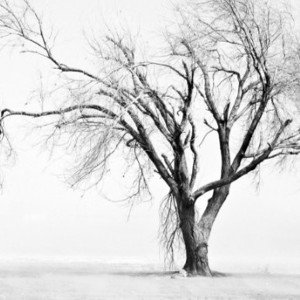 Dead sands 