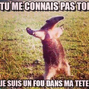 10 possibilités 