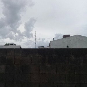 bate trap by: mini fuso