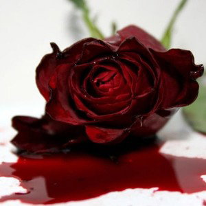 Dying roses