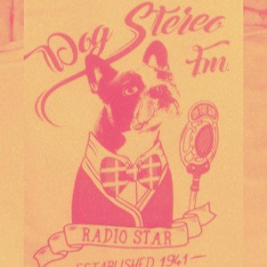 Stereo