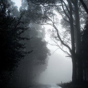 Clouded thoughts 
