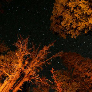 Masterpiece Feat Vaïvaï Firelight