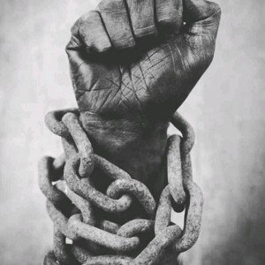 révolution Afriqua 🥊