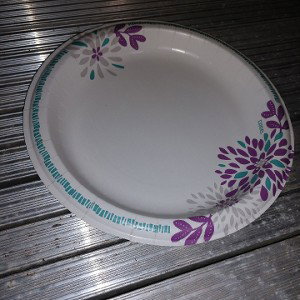 1st freestyle (Plate)  