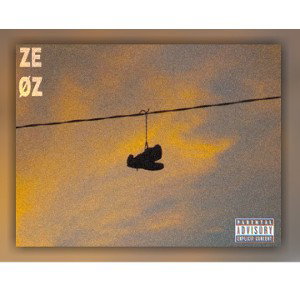 ZEOZ - TENIS DESGASTADOS