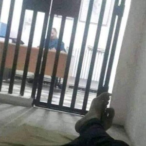 freestyle 1