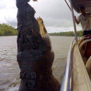 Dirty Water(Fat Jaw Gators)