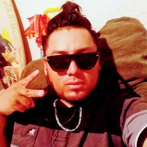 agarre la ebra