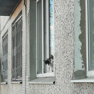 КАРАНТИН ФЛОУ