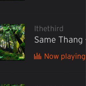 2 Same thang