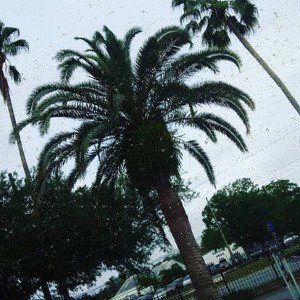 $weetest Dream$