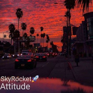Attitude