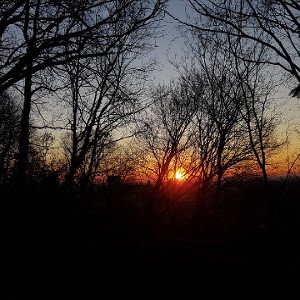 Instrumental Trap 