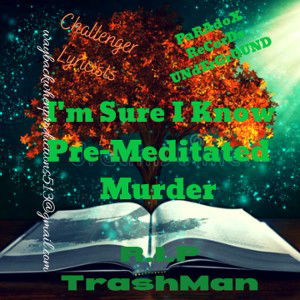 Im Sure I Know (Pre-Meditated Murder)