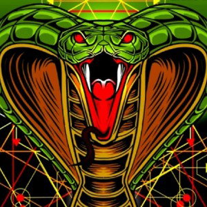 COBRA Prod Spectre   free beat  