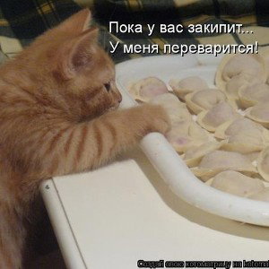 Та которой я отдал своё сердце 