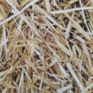 übrigens