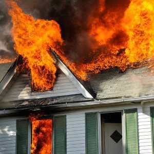 MY CREWS ARE ON FIRE