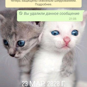 ноутбуки это всё херня