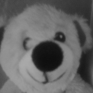 Ted wants revenge on Tupaci