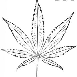 YKPHARAOH- PAIN AWAY 420
