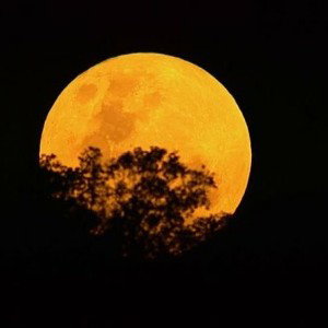 a un passo dalla luna