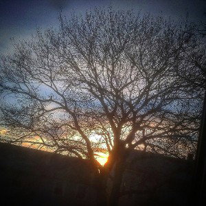 The Longest Winter