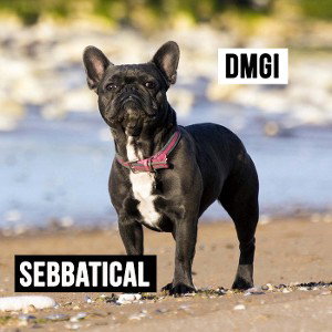 Underdog (Sebbatical & DMGI)