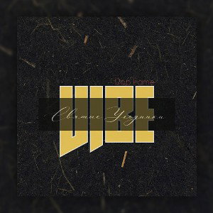 VIBE (Святые Угодники: EraSoul, nenu, ganoza134, KiLLRiLL, Рок Сабу)