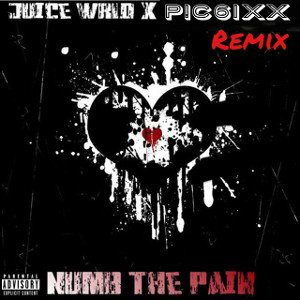 Numb The Pain (P!c6ixx REMIX)