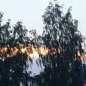 Жизнь