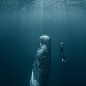 How Far Will You Go From Here