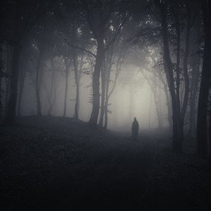 👻Creep Of the night👻