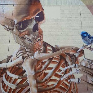 EL - Skeletal Fate💯👀☠