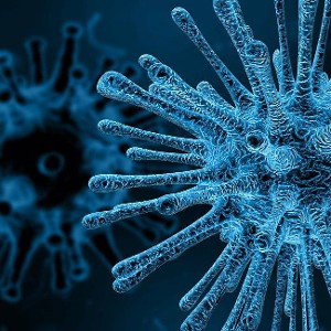Cuarentena Virus 