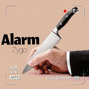 Alarm - Zygo