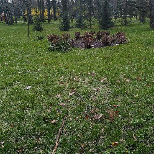 piruet życia