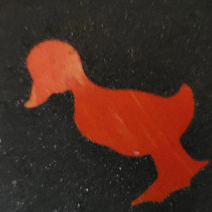 Duck n Run