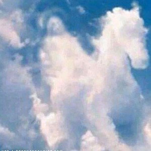 he is coming loud