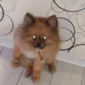 ᴍɪɢᴀᴄʜᴇᴠᴀᴀᴀ1-😻🍷-kissvk.com