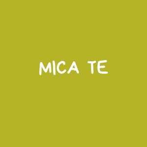 MICA TE