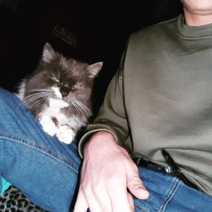 фастом написал