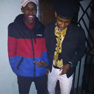 freestyle 
