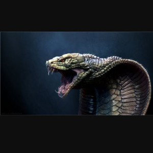 COBRA