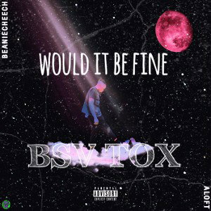 Would it be fine 