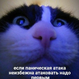 Vaninatruba