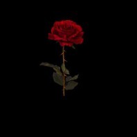 NASTY C 🌟🔥FT ROWLENE 💘- I NEED YOU 